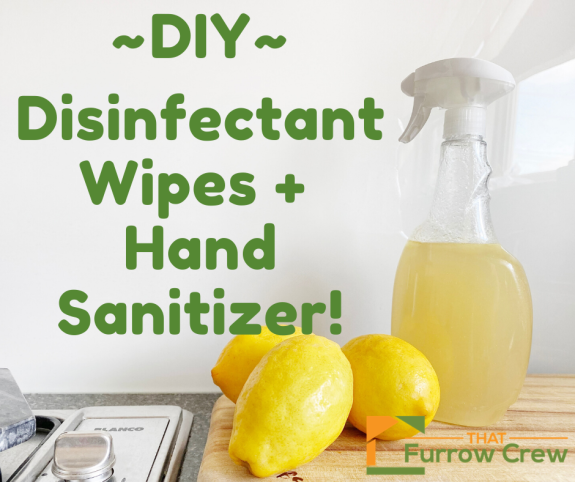 Disenfectant Wipes + Hand Sanitizer!